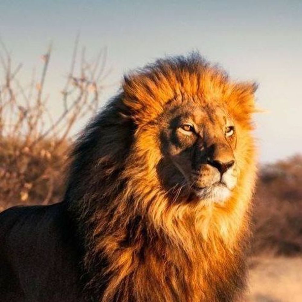 Meet your Posher, Ricardo